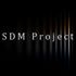SDM Project