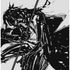 Ｒｏｋｕｄｏ Ｍｕｋｕｒｏ