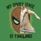 SpideySarah
