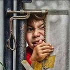 Ehab Ahmed