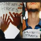 Synthetic  Trees