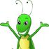 Healthy Insect