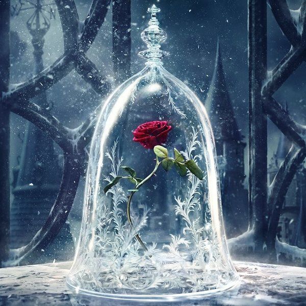 Ariana Grande and John Legend Breathe New Life into "Beauty and the Beast" 