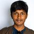 Gokul-Mysticodes