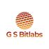 G S BitLabs