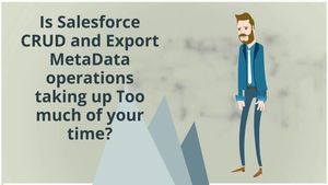 BOFC: An Appexchange solution to perform Salesforce CRUD and Metadata Operations