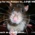Critter Critter
