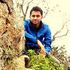 Deepak A Nair