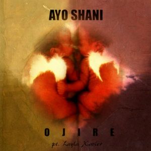 Ayo Shani