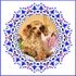 Debbie_Girl