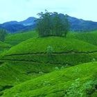 Kerala Tour