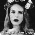 Dark Paradise