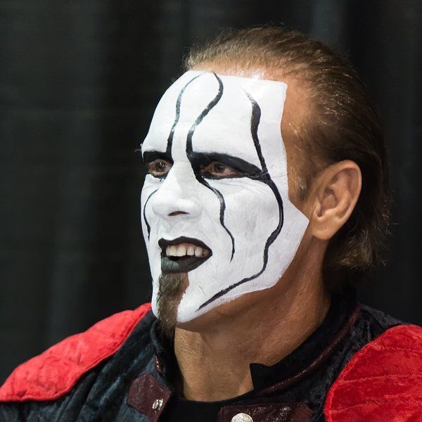 5 Times Sting (The Wrestler) Should’ve Been Replaced By Sting (The Musician)