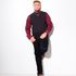 The Muscian