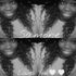 Samone Criswell