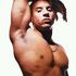 Mark Hunt