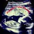 Chasity Nicole Marshall