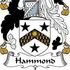 Doug Hammond