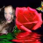 Jannifer Cooke