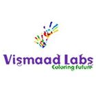 Vismaad Labs