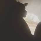 Jawan L Mckee