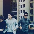 LAST DINOSAURS