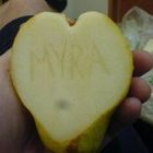 Myra royal