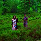 Lilly Wood &amp;  The Prick