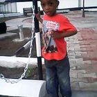Anderson Paul