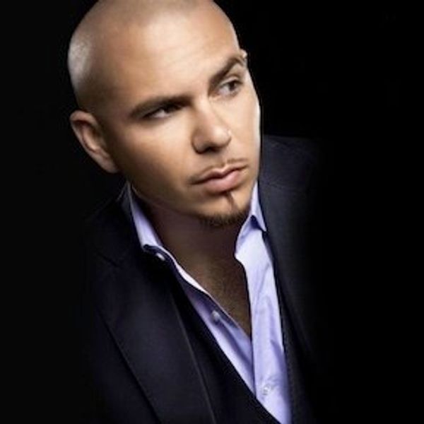 what does pitbull do - Ilustrasi 3