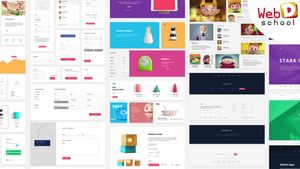 web design and development course career