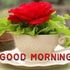 Upendra Mishra