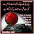 Waseem Raza