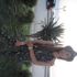 Justyna G.