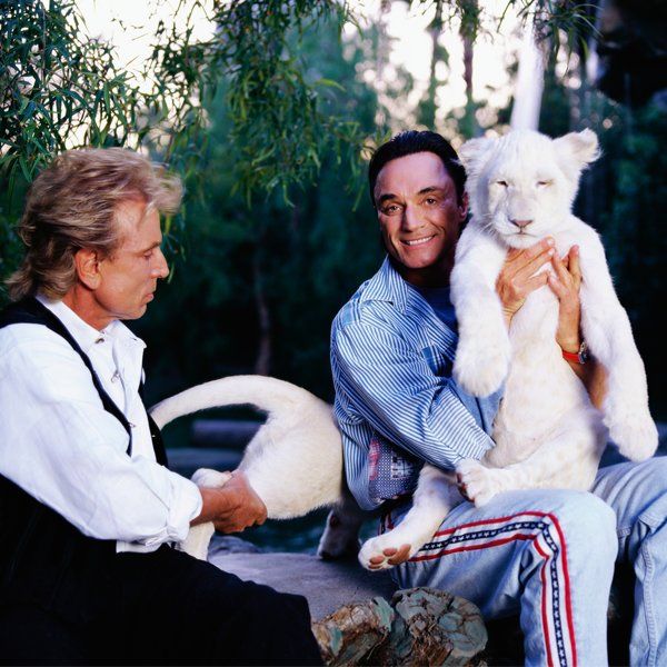 'Roy’s Legacy Is All of Vegas.' Penn Jillette Remembers Magician Roy Horn