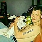 David Rindfleisch