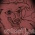 Animal Joe