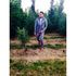 Jay Matthew