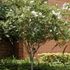 Autumn Acres Garden Center & Landscaping