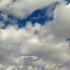 سندريلة البحر
