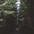 Hillery Forrest
